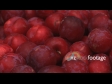 Plums Bin Zoom Out 1 1044